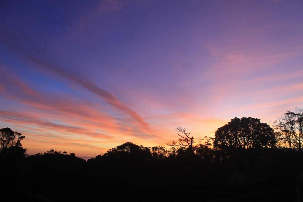 Apartmán Quinta Do Areeiro Horta  Exteriér fotografie